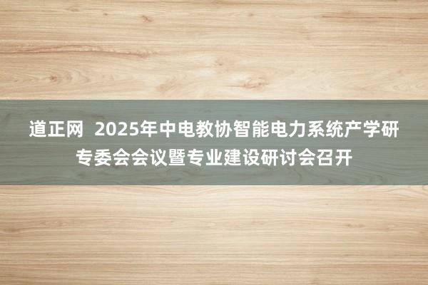 道正网  2025年中电教协智能电力系统产学研专委会会议暨专业建设研讨会召开