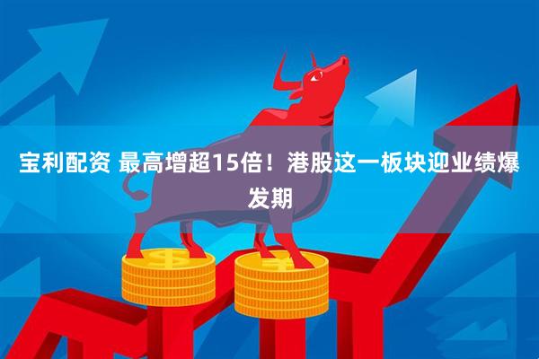 宝利配资 最高增超15倍！港股这一板块迎业绩爆发期