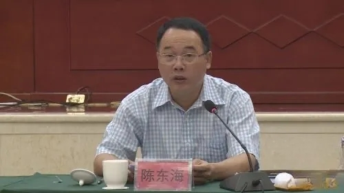 同花证券 县长陈东海，不顾反对意见推动“灯光秀”项目，造成重大损失